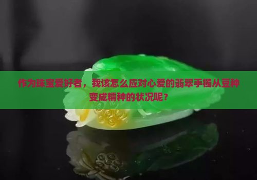 作为珠宝爱好者，我该怎么应对心爱的翡翠手镯从豆种变成糯种的状况呢？