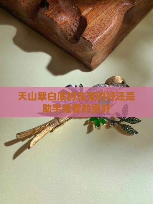 天山翠白底的珠宝的好还是助手推荐的更好