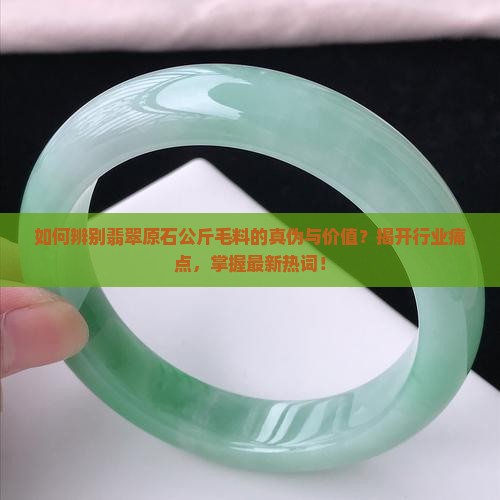 如何辨别翡翠原石公斤毛料的真伪与价值？揭开行业痛点，掌握最新热词！