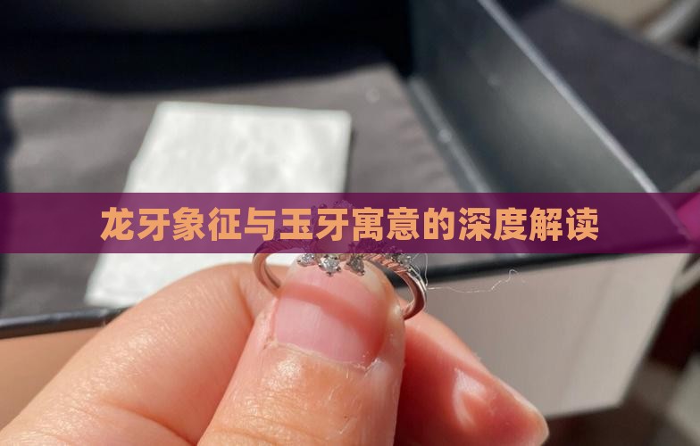 龙牙象征与玉牙寓意的深度解读