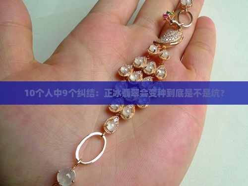 10个人中9个纠结：正冰翡翠会变种到底是不是坑？