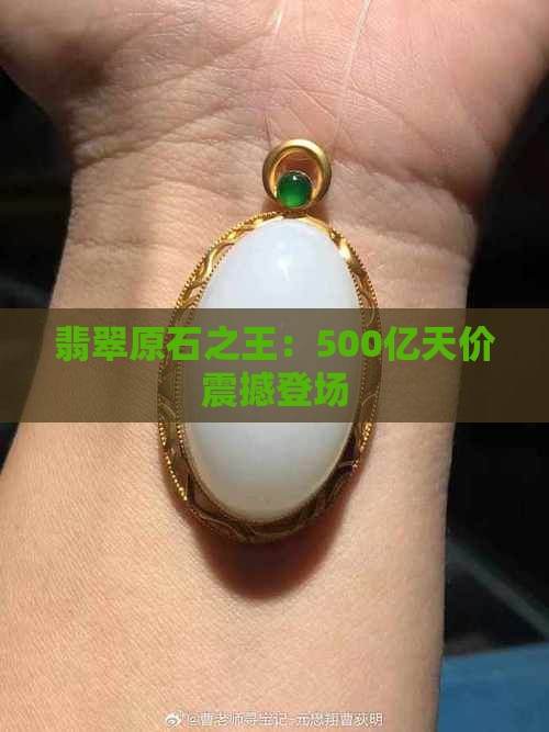 翡翠原石之王：500亿天价震撼登场