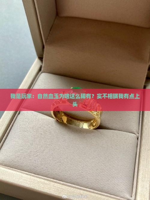 我是玩家：自然血玉为啥这么稀有？实不相瞒我有点上头