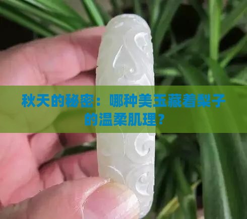 秋天的秘密：哪种美玉藏着梨子的温柔肌理？
