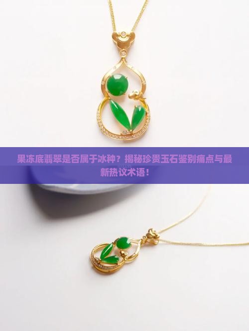 果冻底翡翠是否属于冰种？揭秘珍贵玉石鉴别痛点与最新热议术语！
