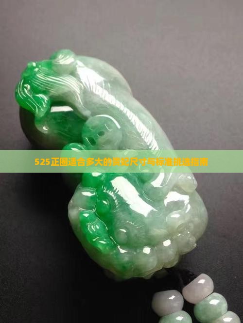 525正圈适合多大的贵妃尺寸与标准挑选指南