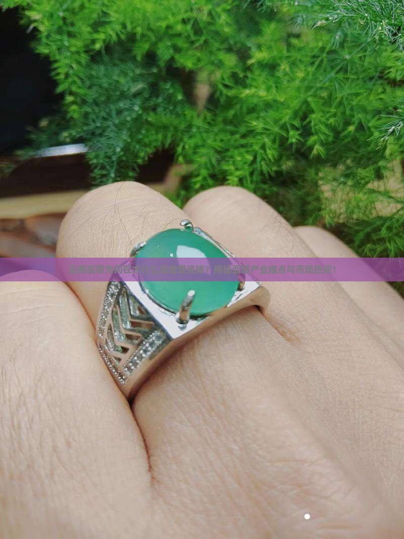 云南翡翠为何在太什么县备受追捧？揭秘翡翠产业痛点与市场热词！