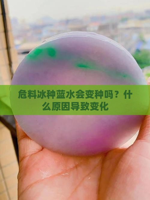 危料冰种蓝水会变种吗？什么原因导致变化