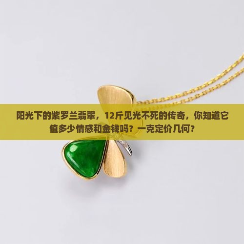 阳光下的紫罗兰翡翠，12斤见光不死的传奇，你知道它值多少情感和金钱吗？一克定价几何？
