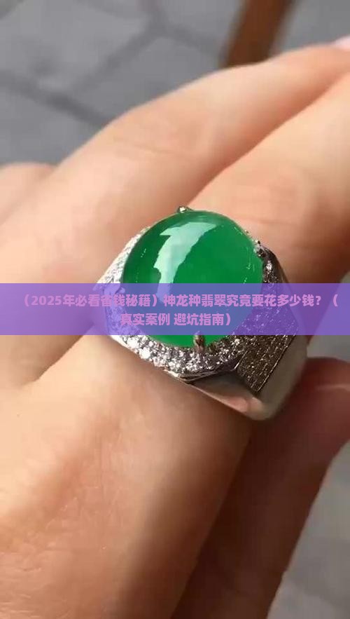 神龙种翡翠多少钱