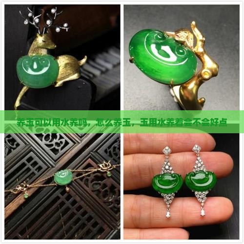 养玉可以用水养吗