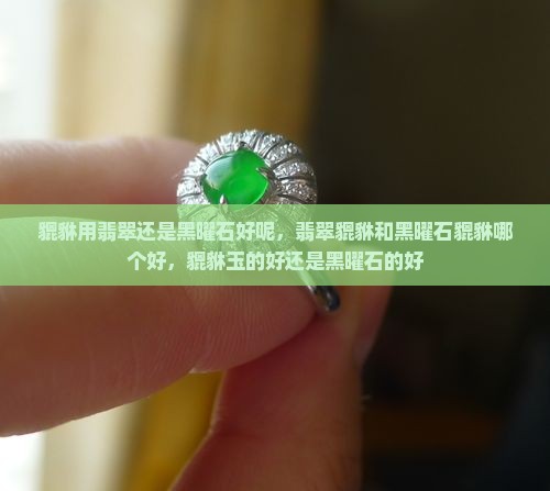 貔貅用翡翠还是黑曜石好呢