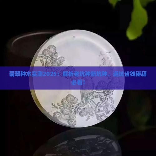 翡翠有什么种才能做成成品的