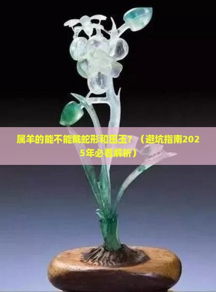 属羊的可以戴蛇形和田玉吗