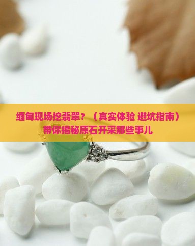 缅甸现场挖翡翠