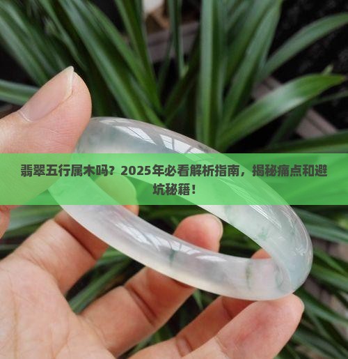 翡翠五行属木吗