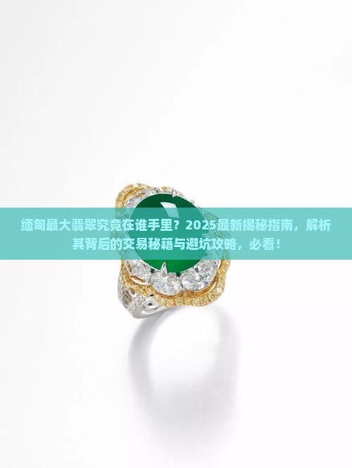 缅甸最大翡翠在什么人手里