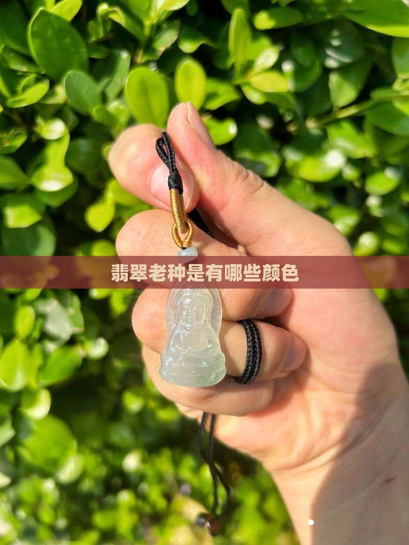 翡翠老种是有哪些颜色
