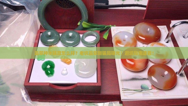 翡翠种水硬度怎么样