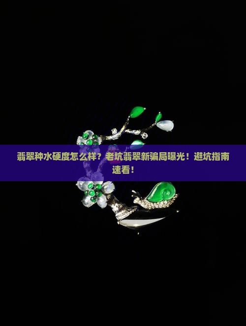 翡翠种水硬度怎么样