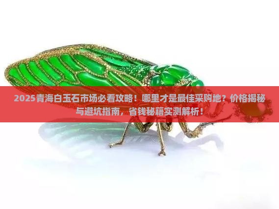 青海白玉石市场在哪里