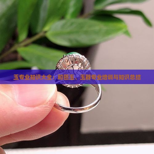玉专业知识