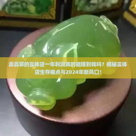 卖翡翠的实体店一年利润