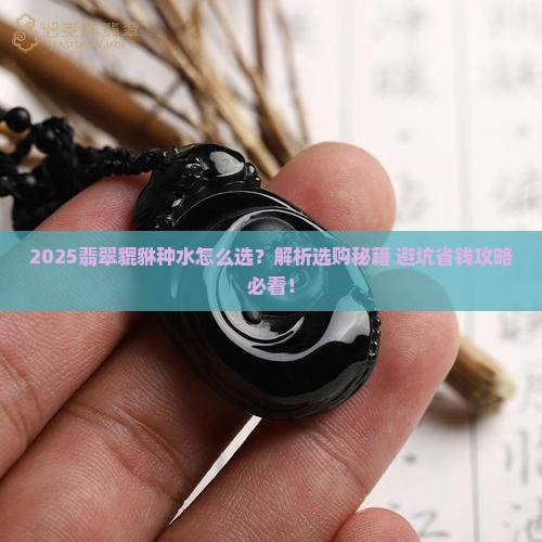 翡翠貔貅种水好不好