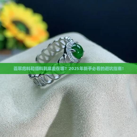 翡翠的危料和缅料的区别