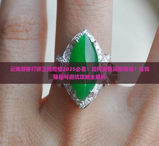 云南游客打碎玉镯赔偿