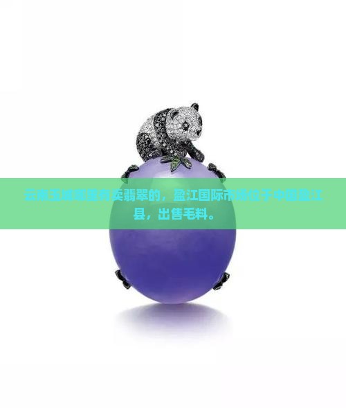 云南玉城哪里有卖翡翠的