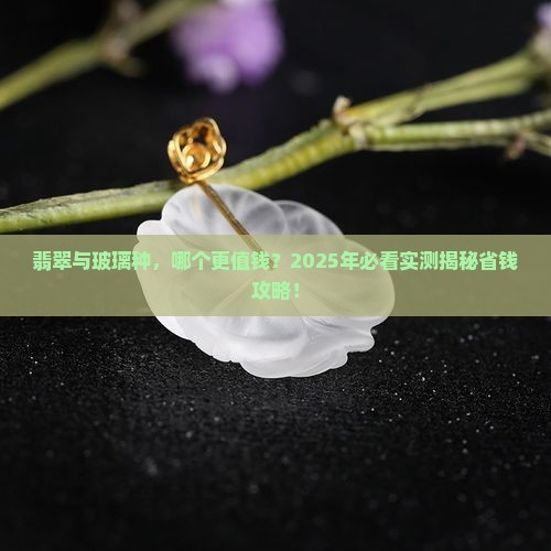 翡翠贵还是玻璃种贵