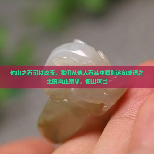 取他山之石攻己之玉