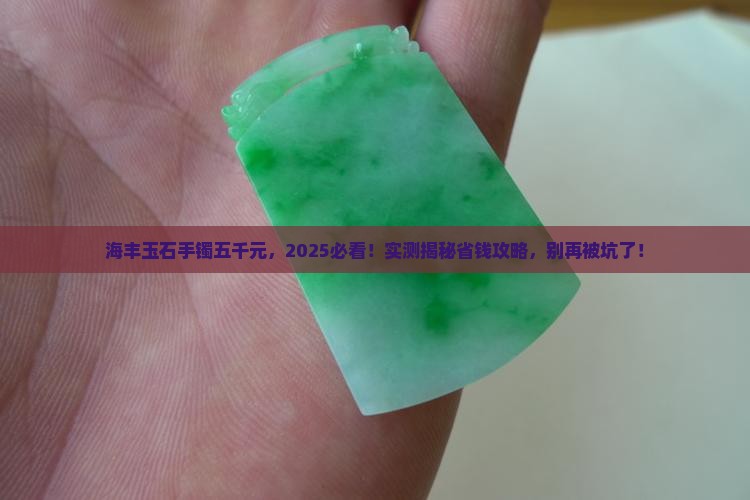 海丰玉石手镯五千元