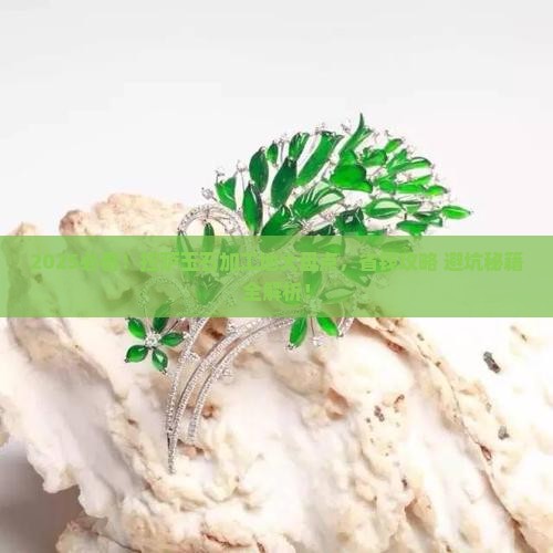 拉萨哪里有玉石加工的