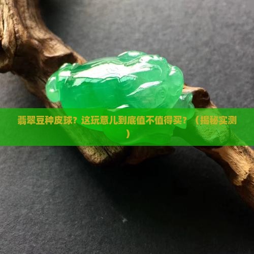 翡翠豆种皮球