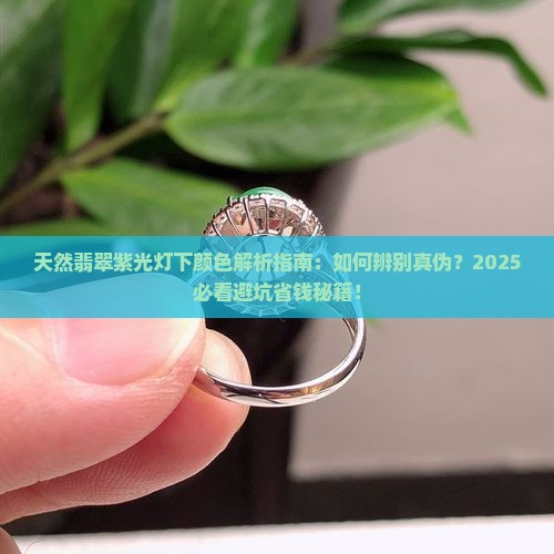天然翡翠紫光灯下颜色