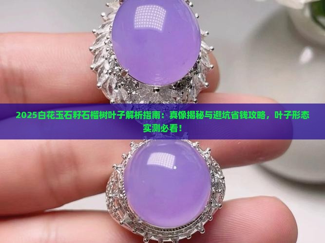 白花玉石籽石榴树叶子是什么样的