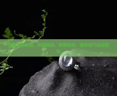 豆豆翡翠私藏
