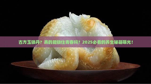 古方玉锁丹