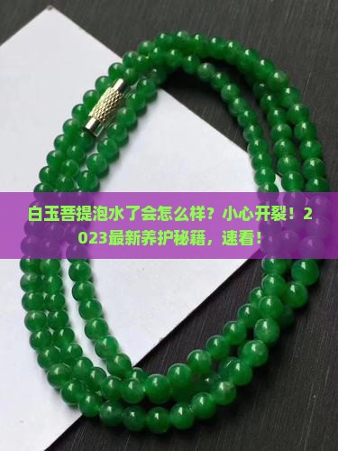 白玉菩提泡水了会怎么样