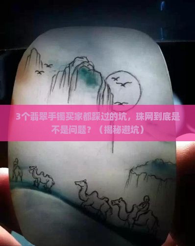 翡翠手镯里有珠网