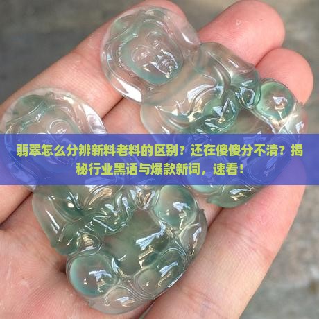 翡翠怎么分辨新料老料的区别