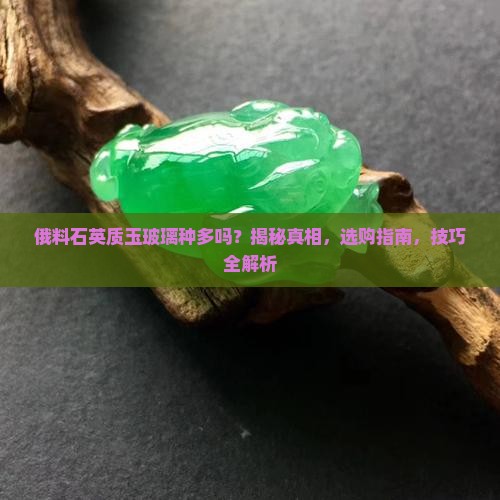 俄料石英质玉玻璃种多吗