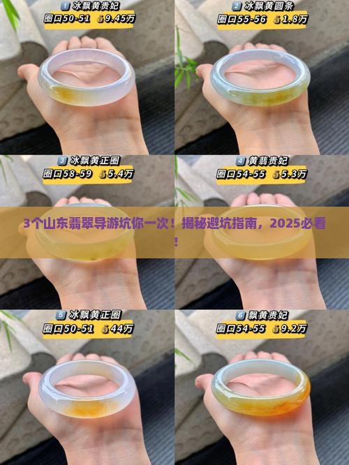 卖山东翡翠导游怎么样啊