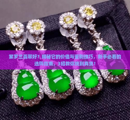 紫罗兰翡翠好