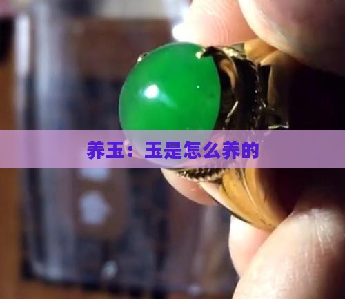 玉是怎么养