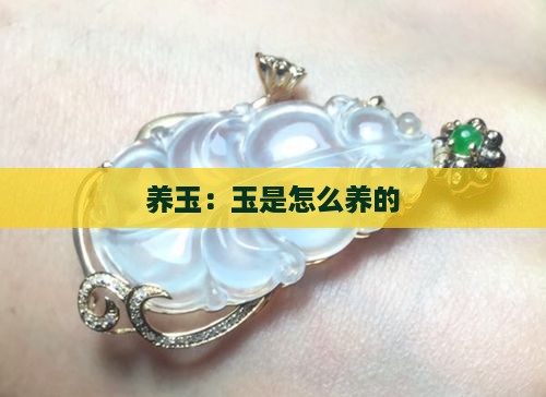 玉是怎么养