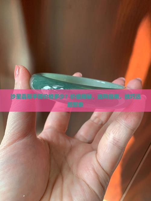 沙星翡翠手镯价格多少
