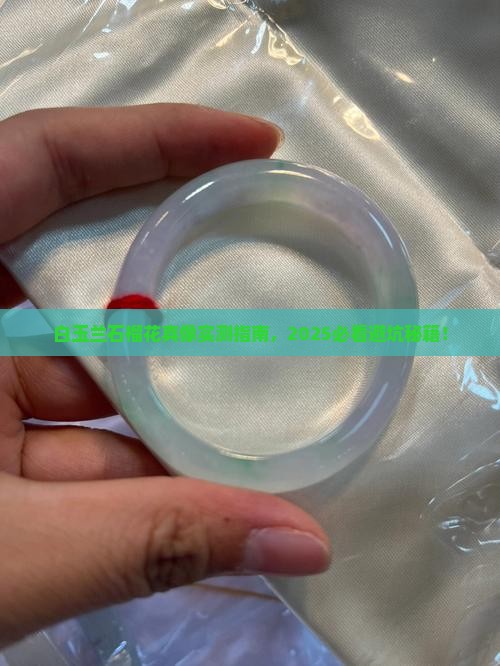 白玉兰石榴花